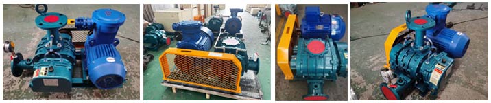 沼氣輸送羅茨風機 沼氣輸送羅茨風機